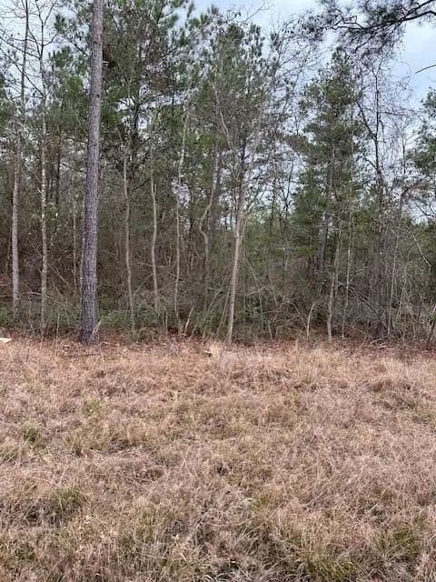 Property from 0 Salco Road - KW - Axis, Alabama, 36505
