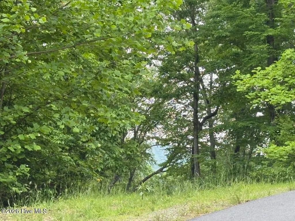 Property from Unknown Address - KW - Hayesville, North Carolina, 28904