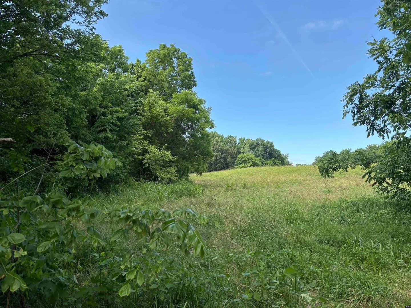 Property from 00 US HWY 45/Dixon Rd. - KW - Fulton, Kentucky, 42041