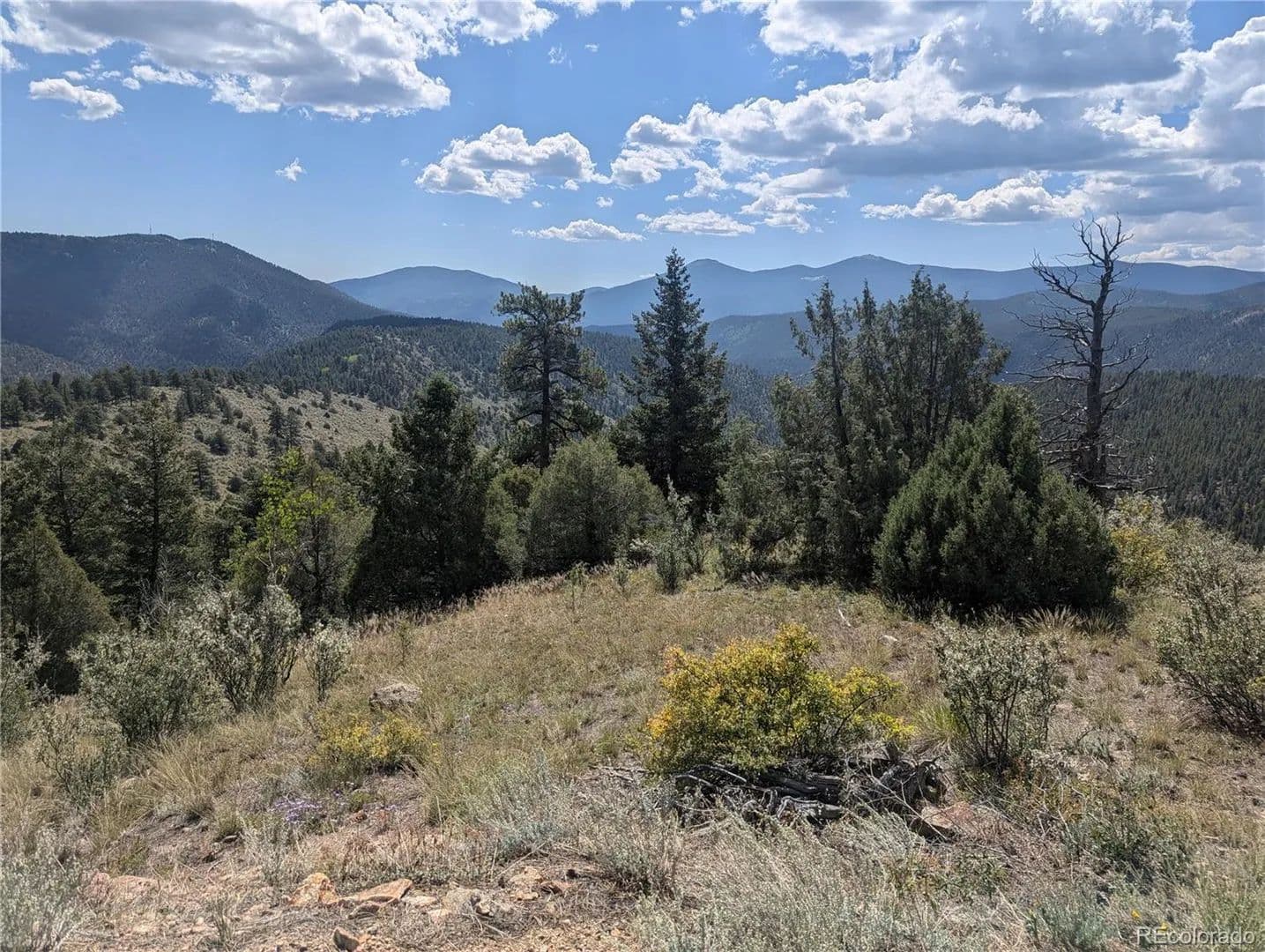 4.24 Acres of Land for Sale in Dumont, CO - Dumont, Colorado, 80436