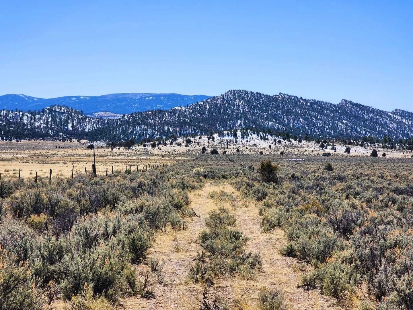 80 Acres of Land for Sale in Regina, NM - Regina, New Mexico, 87046