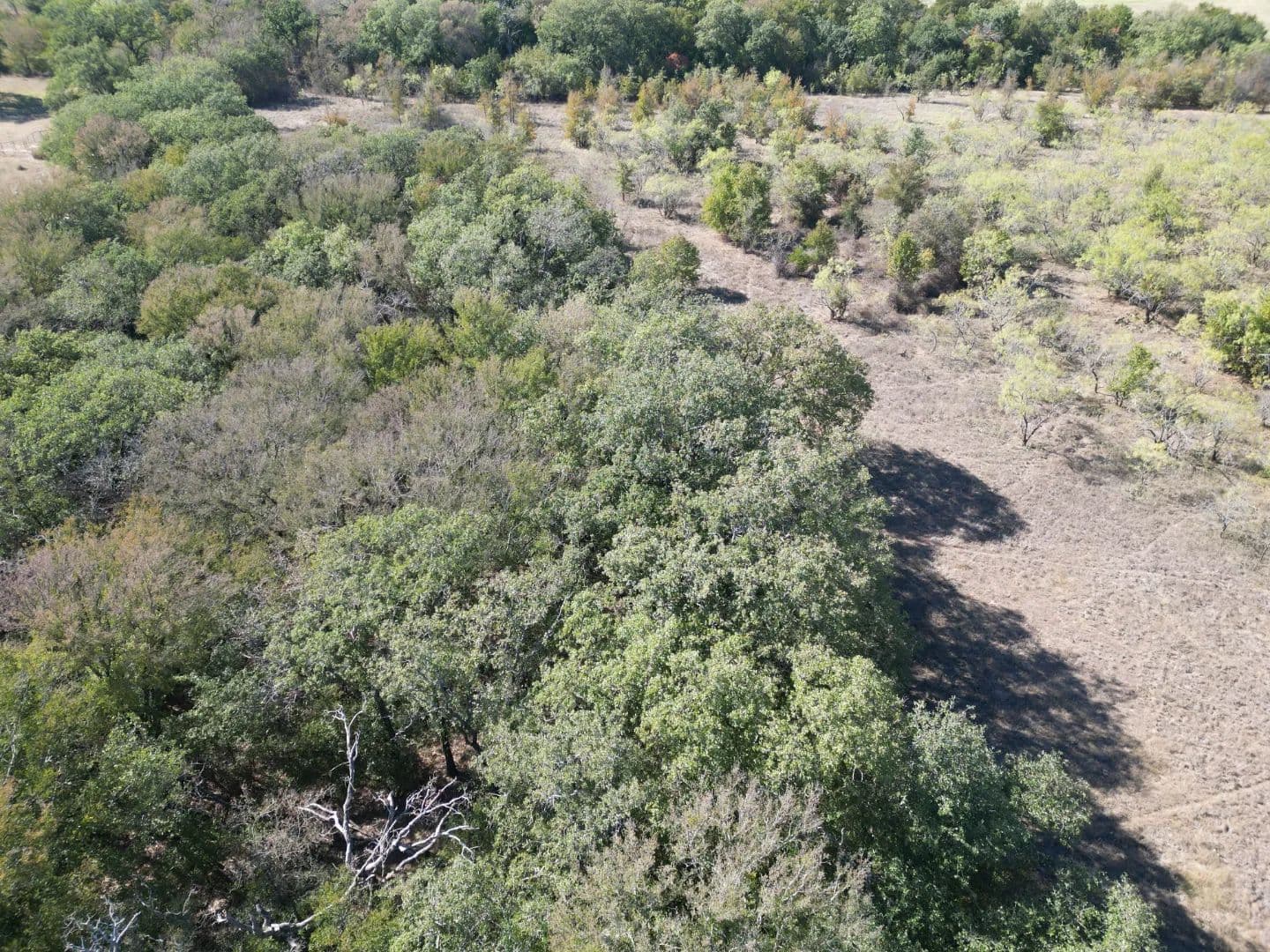 New Listing!!! 311+/- Ac, Comanche County - land for sale