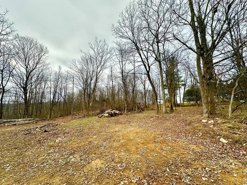 Lots & Land-Other in Bainbridge