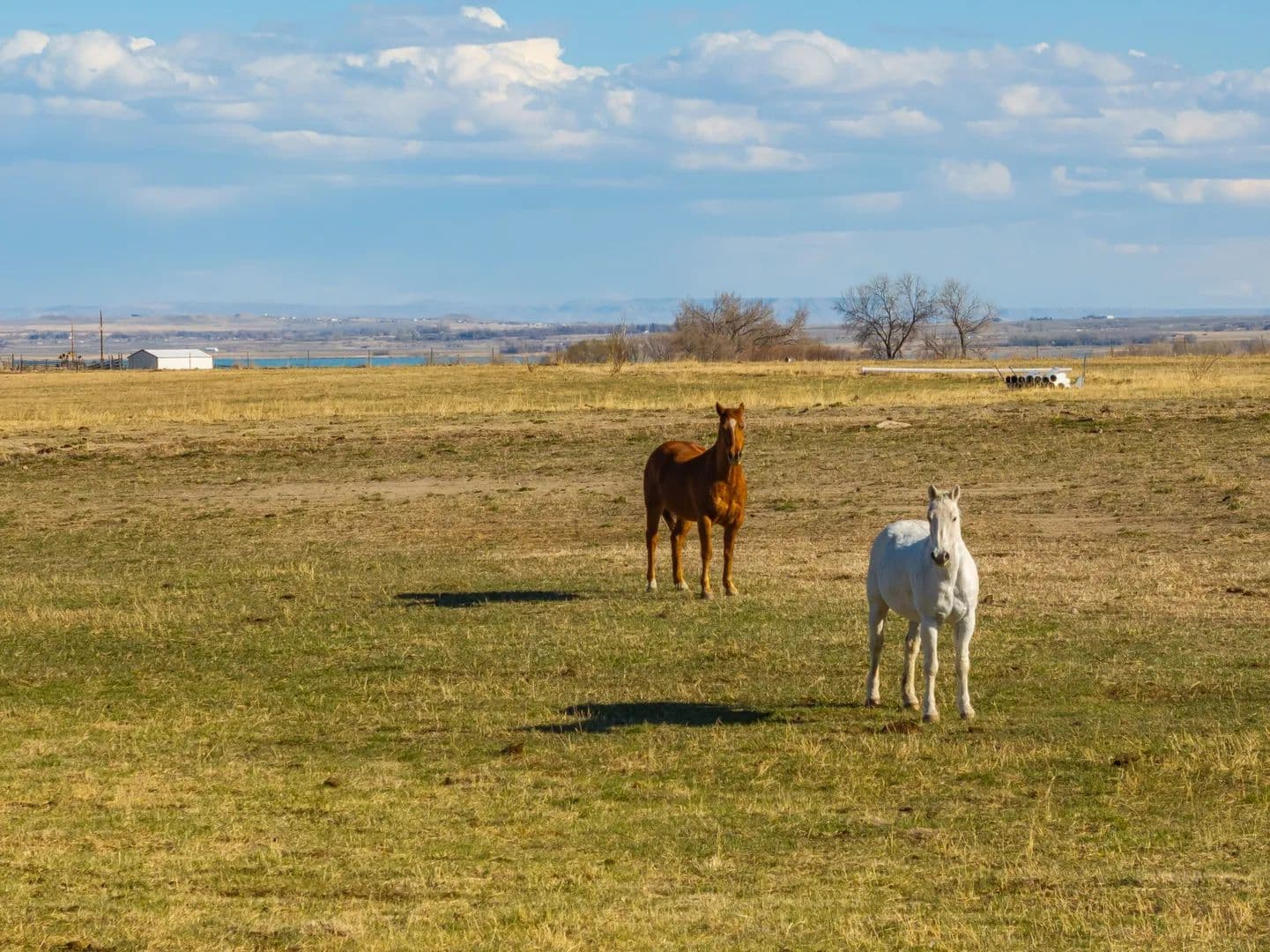 White Acres - land for sale