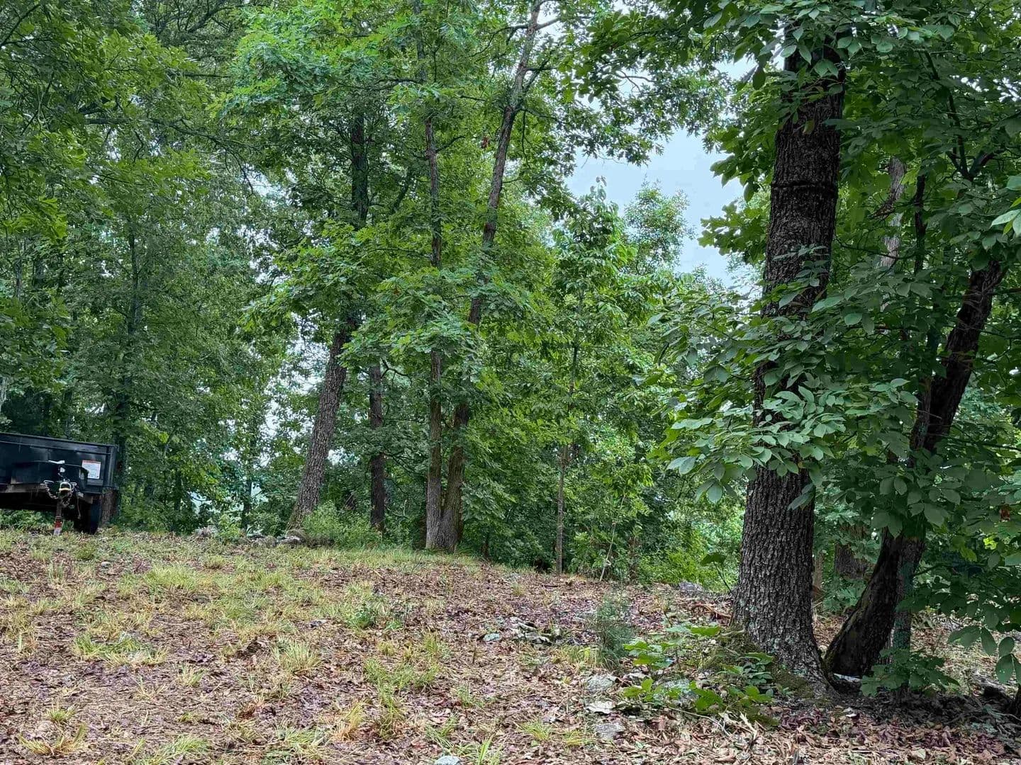 Property from Off Of Morgan Cave Road - KW - Harrison, Arkansas, 72601