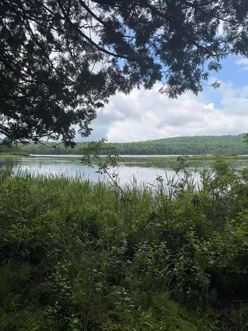1.19 Acres of Land for Sale in Sebec, ME - Sebec, Maine, 04481