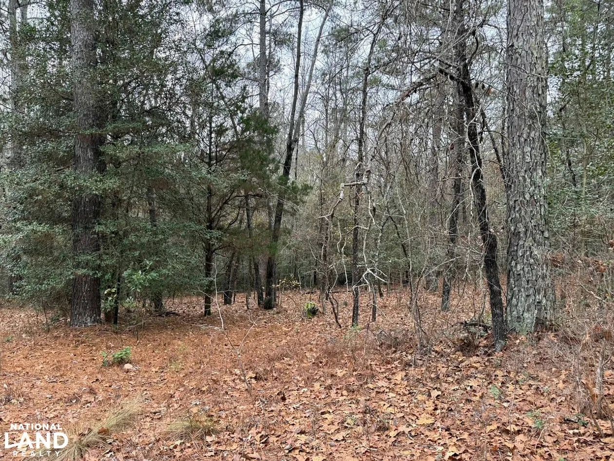 Horsepen Branch - Chesterfield, South Carolina, 29709