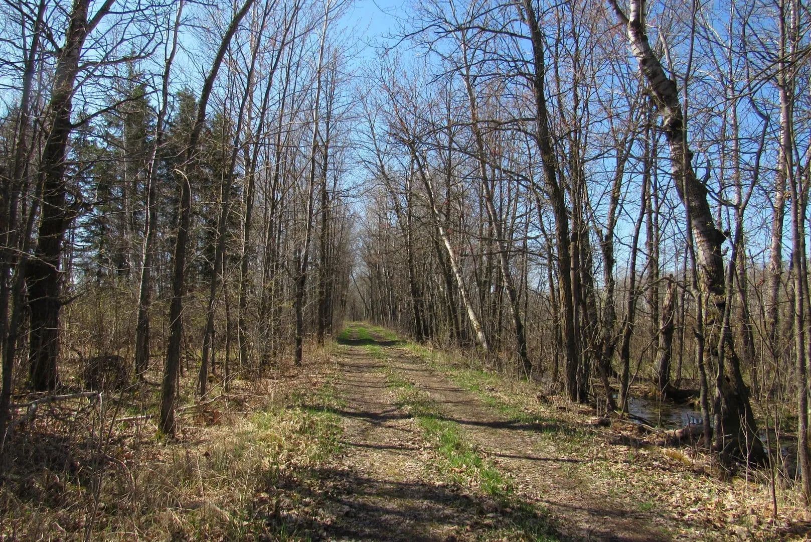 Property from TBD-1 County Road 41 - KW - Willow River, Minnesota, 55795