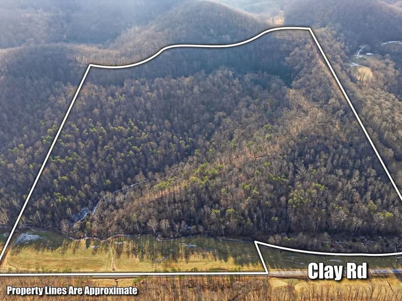 Clay Rd - 91 acres