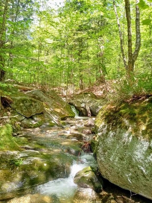 88 Acres of Land for Sale in Somerset County, Maine - Maine, 04961