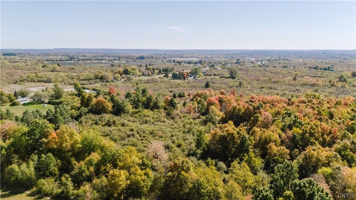 46.2 Acres of Land for Sale in Evans Mills, NY - Evans Mills, New York, 13637