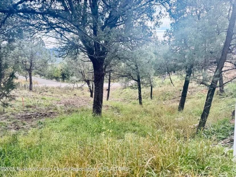 Vacant Land in Ruidoso