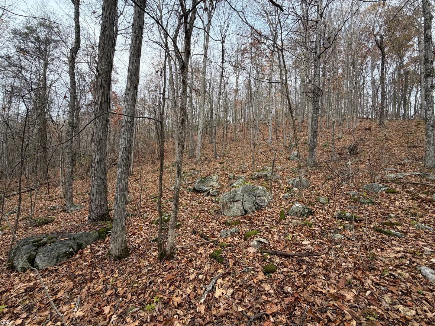 Prime 30-Acre Development Opportunity - Healing Springs, Virginia, 24445