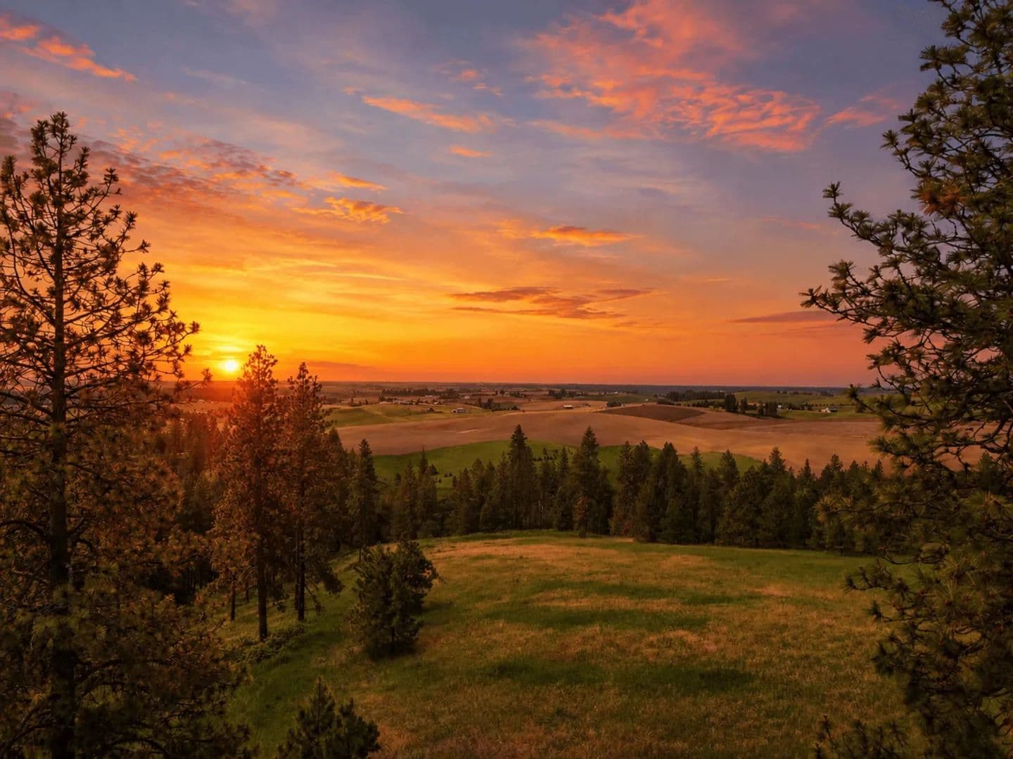 Property from 9630 S Sands Rd - KW - Valleyford, Washington, 99036