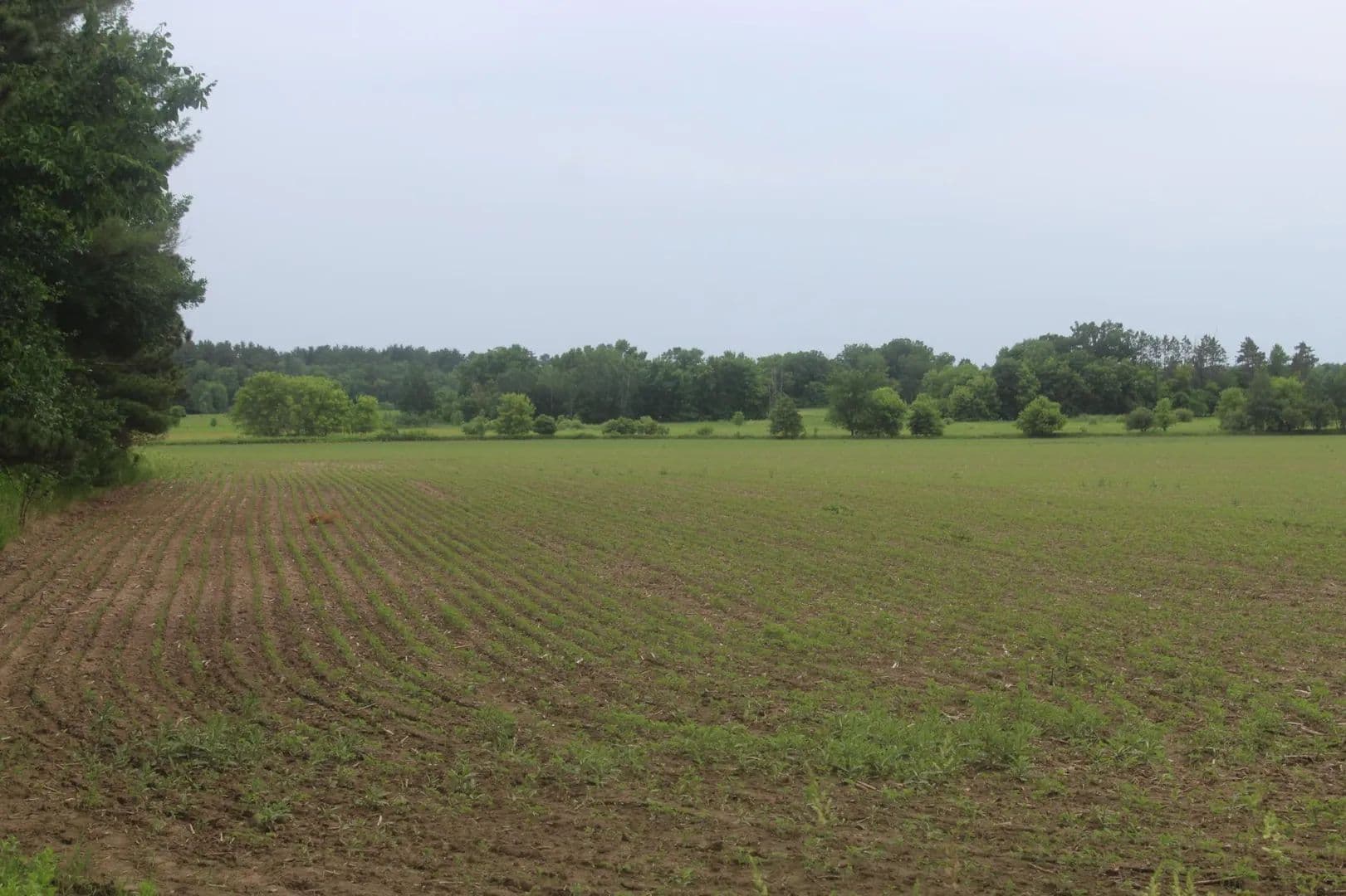 Property from TBD-2 120th Avenue - KW - Ogilvie, Minnesota, 56358