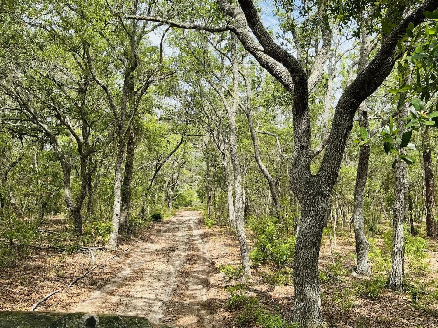 Vacant Land (10+ Acres) in Hawthorne - Hawthorne, Florida, 32640
