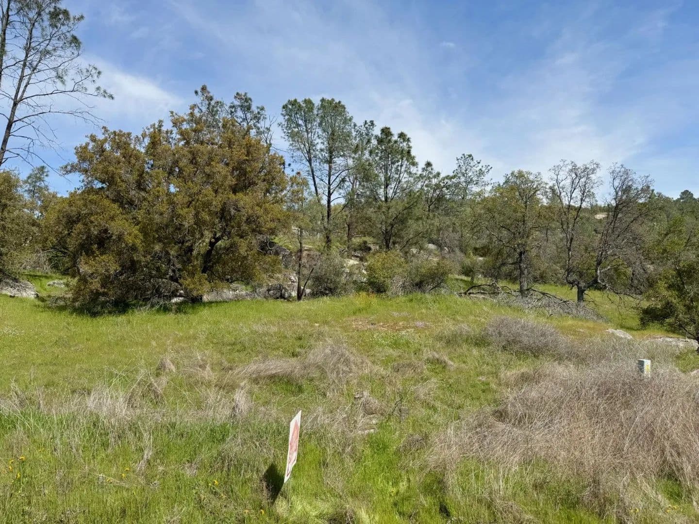 Property from 0 Long Hollow Drive - KW - Coarsegold, California, 93614