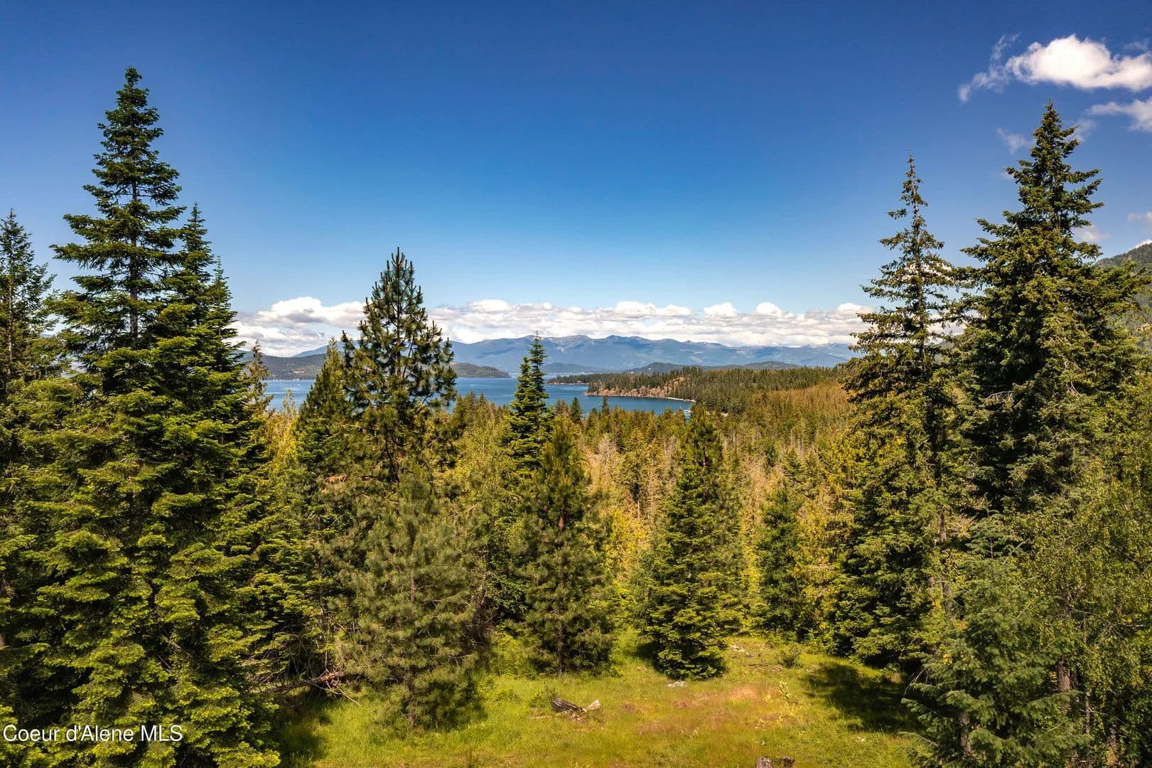 6.68 Acres of Land for Sale in Hope, ID - Hope, Idaho, 83836