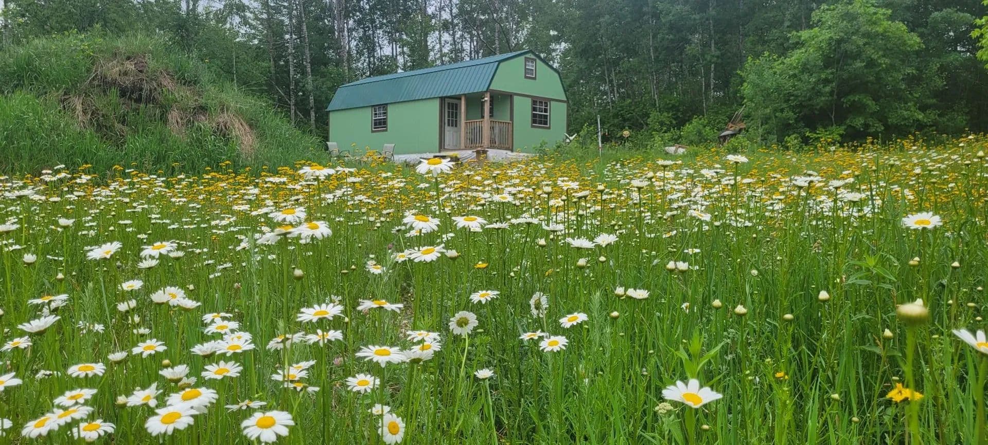 3.62 Acres of Land for Sale in Trego, Wisconsin - Trego, Wisconsin, 54888