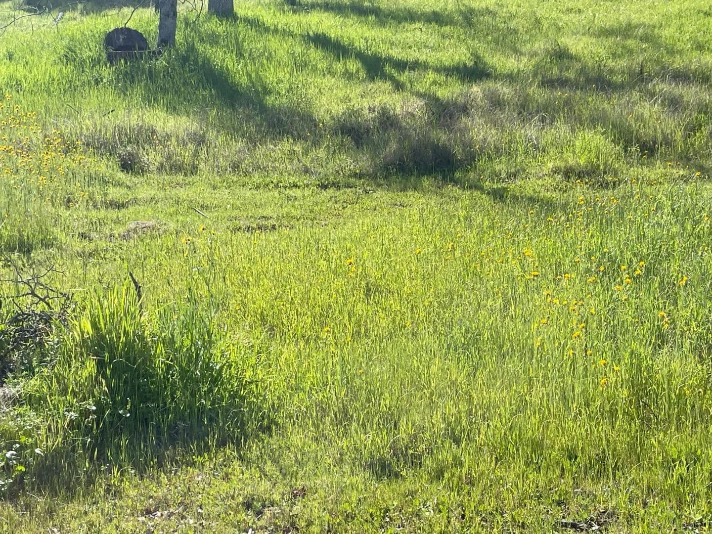 1.9 Acres of Land for Sale in La Grange, CA - La Grange, California, 95329
