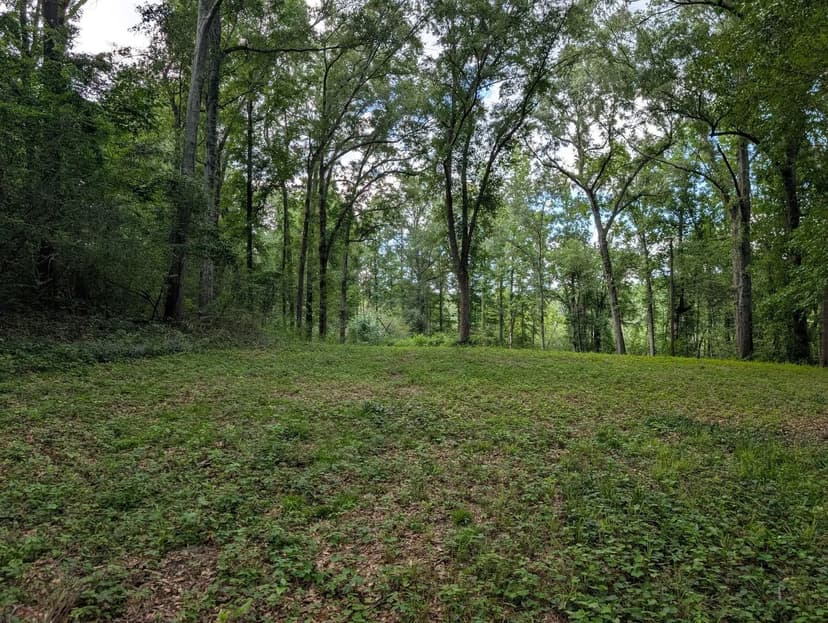 8.9+- ACRE HOMESITE WITH CREEK-PIKE COUNTY