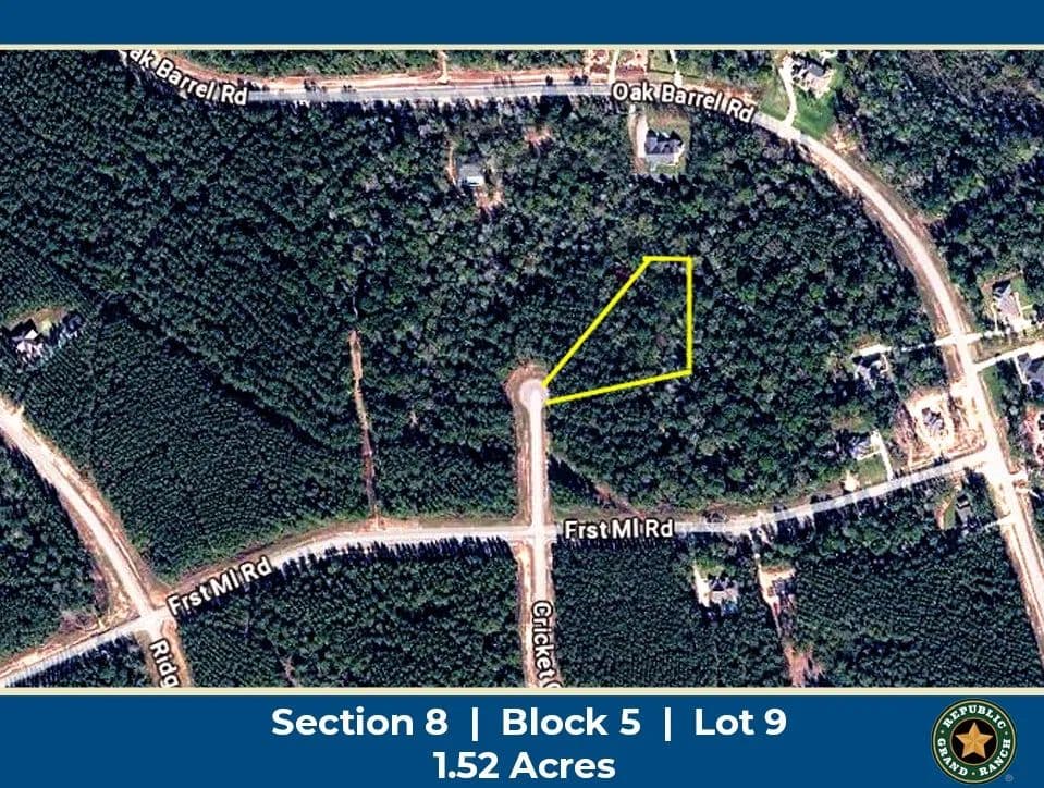 Property from 15660 Cricket Creek Court - KW - Willis, Texas, 77378