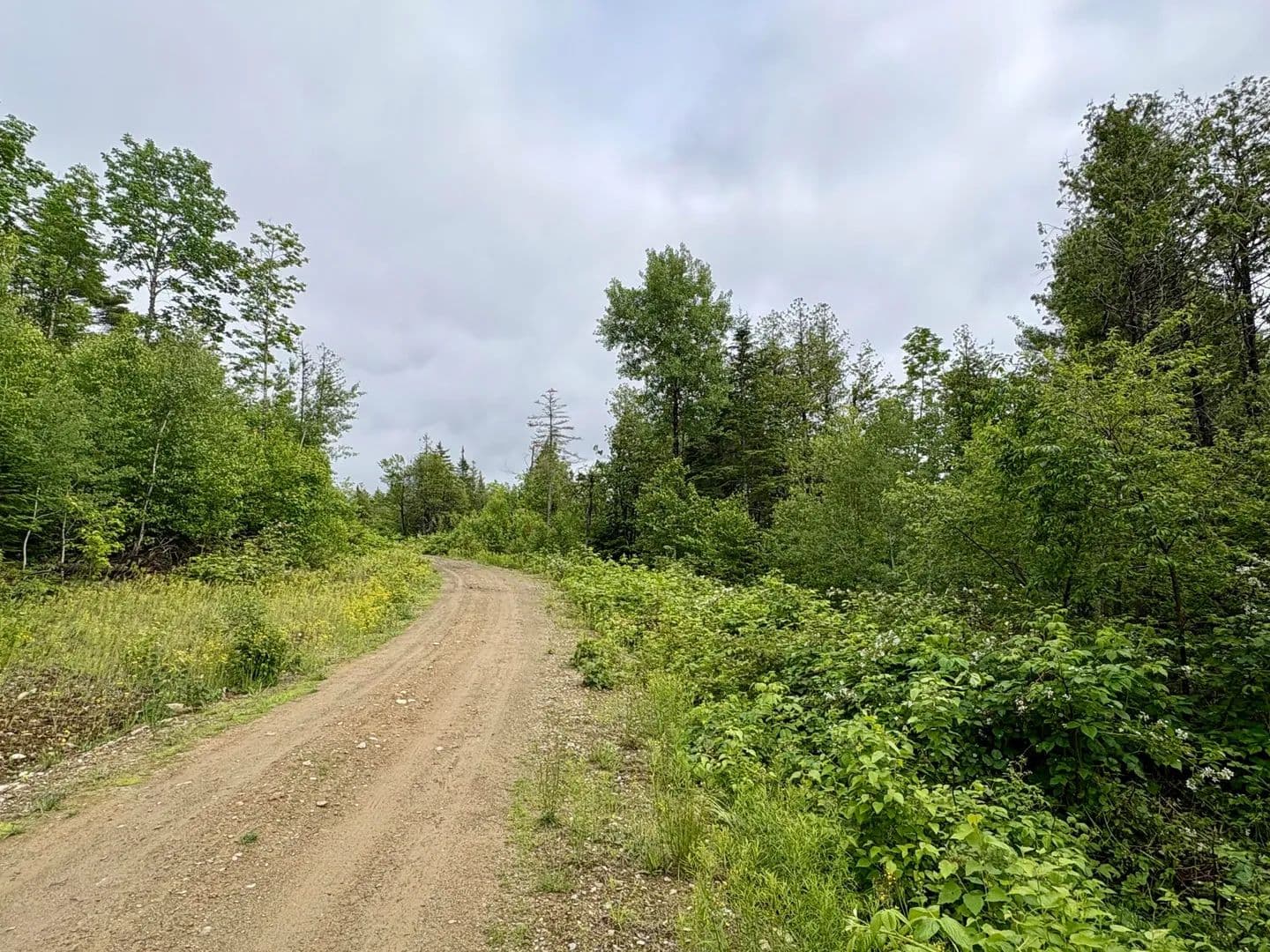 1.05 Acres of Land for Sale in Lee, ME - Lee, Maine, 04455