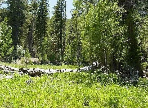 2.07 Acres of Land for Sale in Mount Charleston, NV - Mount Charleston, Nevada, 89124