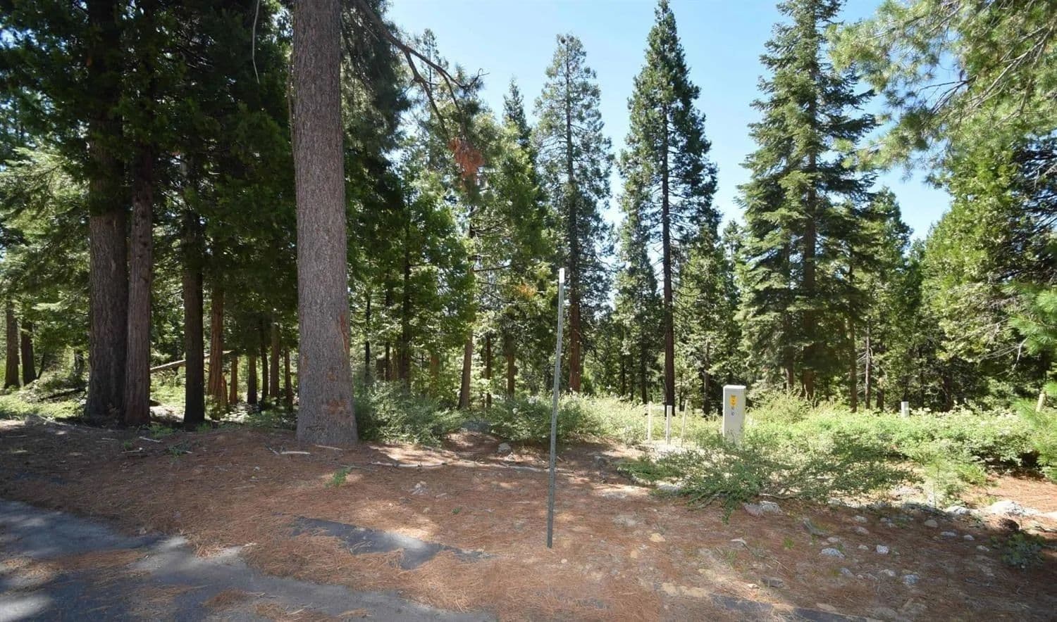 Property from 42036 Tourmaline Lane #103 - KW - Shaver Lake, California, 93664