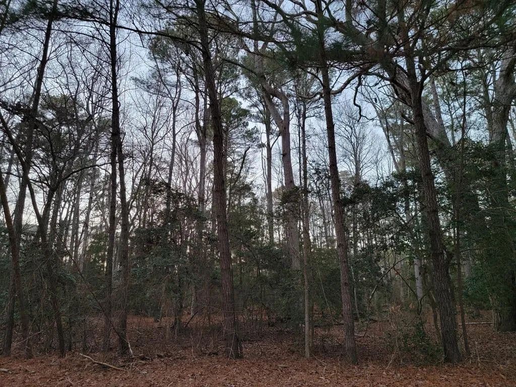 Land -Single Family Acreage in Machipongo - Machipongo, Virginia, 23405