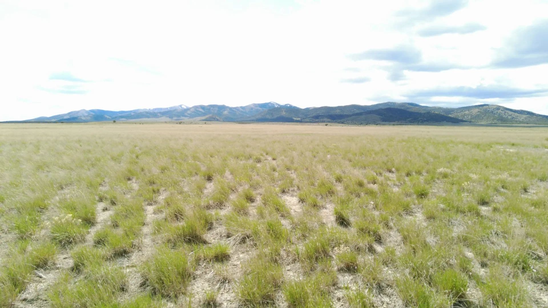Cedar Creek Ranch - Park Valley, Utah, 84329