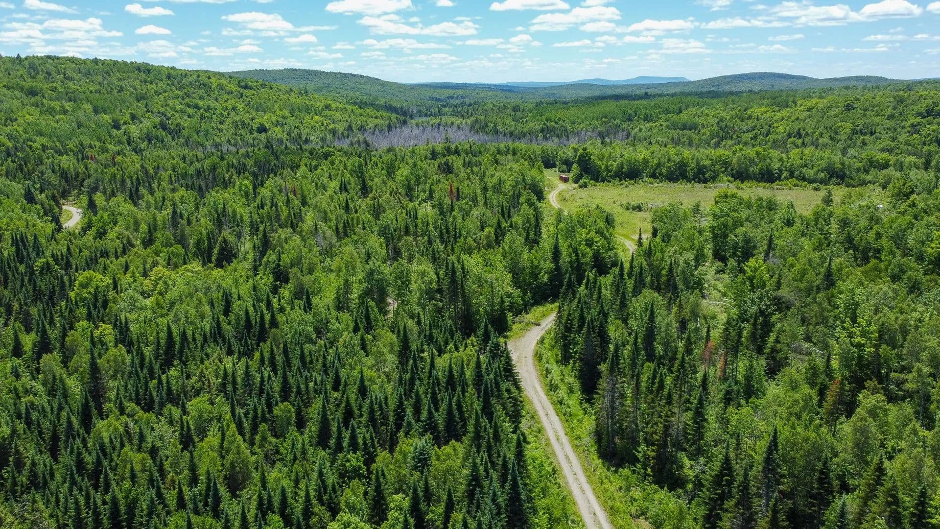 84 Acres of Land for Sale in Springfield, ME - Springfield, Maine, 04487