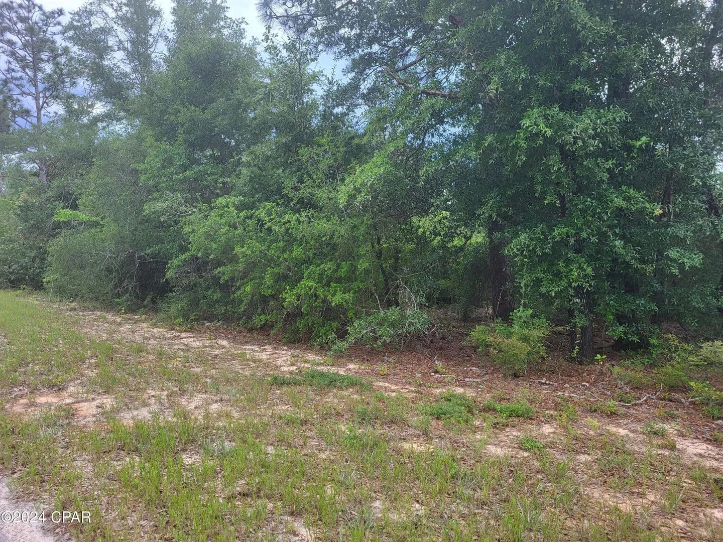 Property from 00 Cherry Circle - KW - Marianna, Florida, 32448