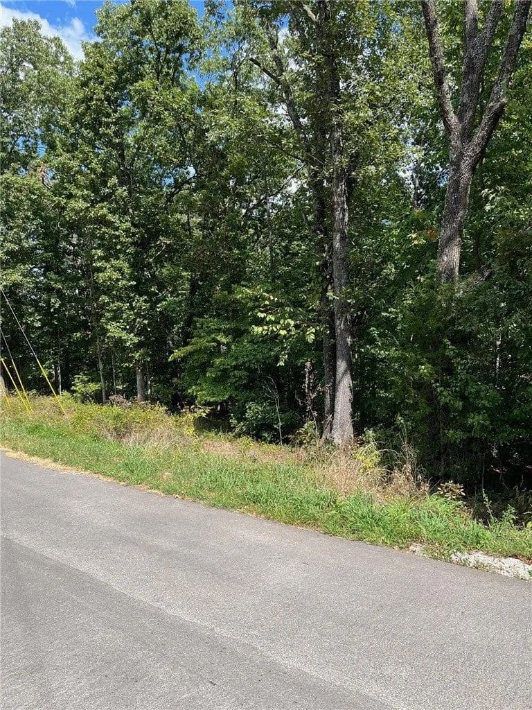 Lots & Land-Other in Bella Vista - Bella Vista, Arkansas, 72715