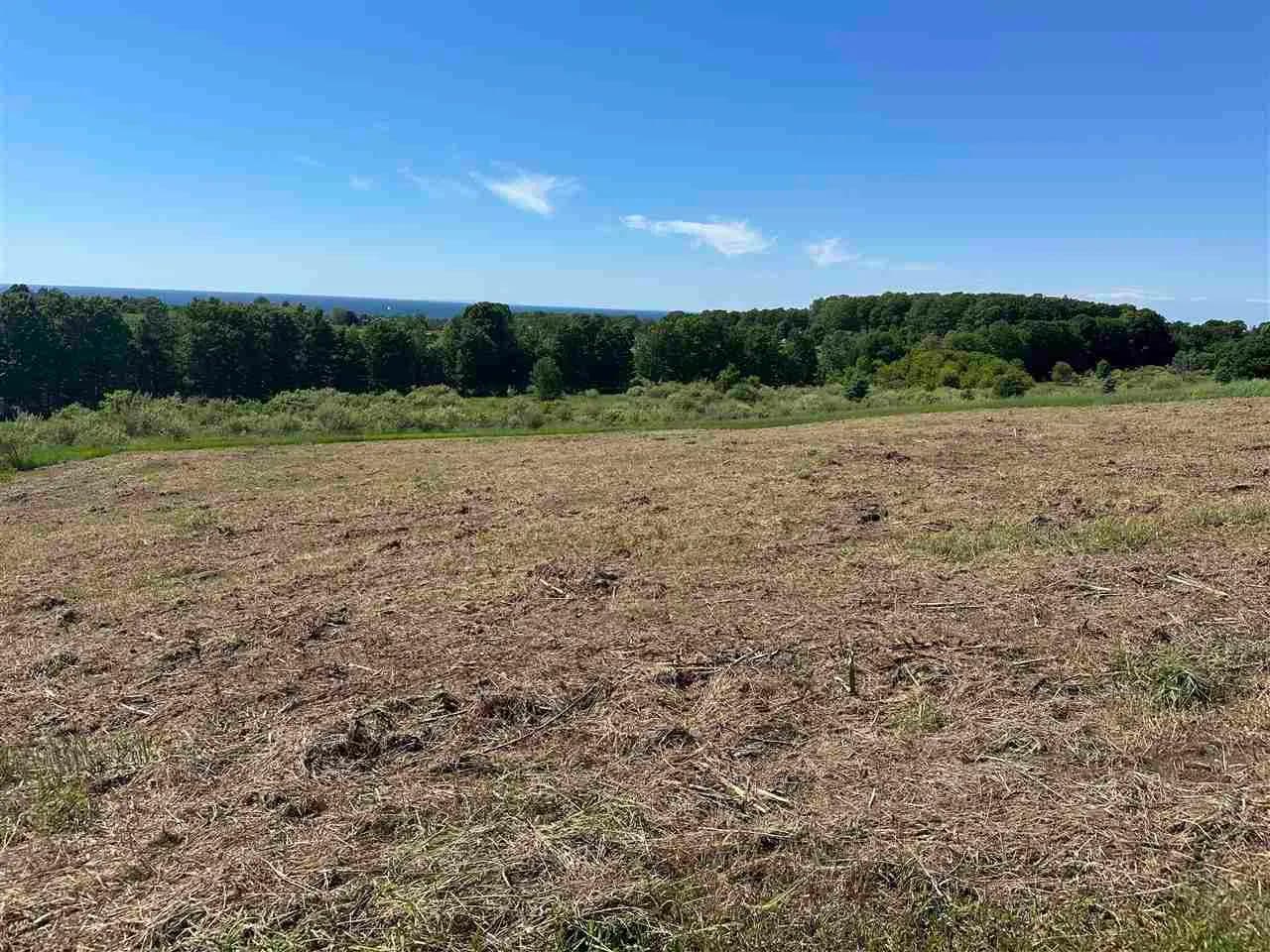 Property from 12 Foxview Drive #12 - KW - Charlevoix, Michigan, 49720