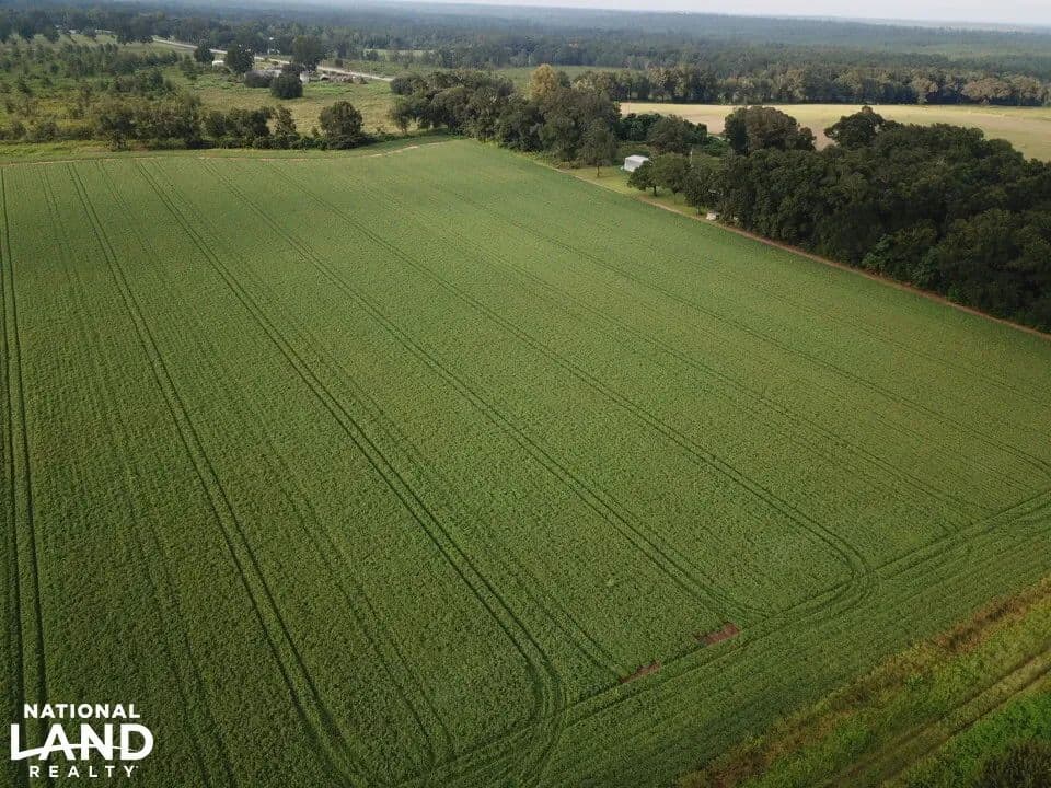 Allentown Mini Farm 4+ Acre Homesite - Milton, Florida, 32570