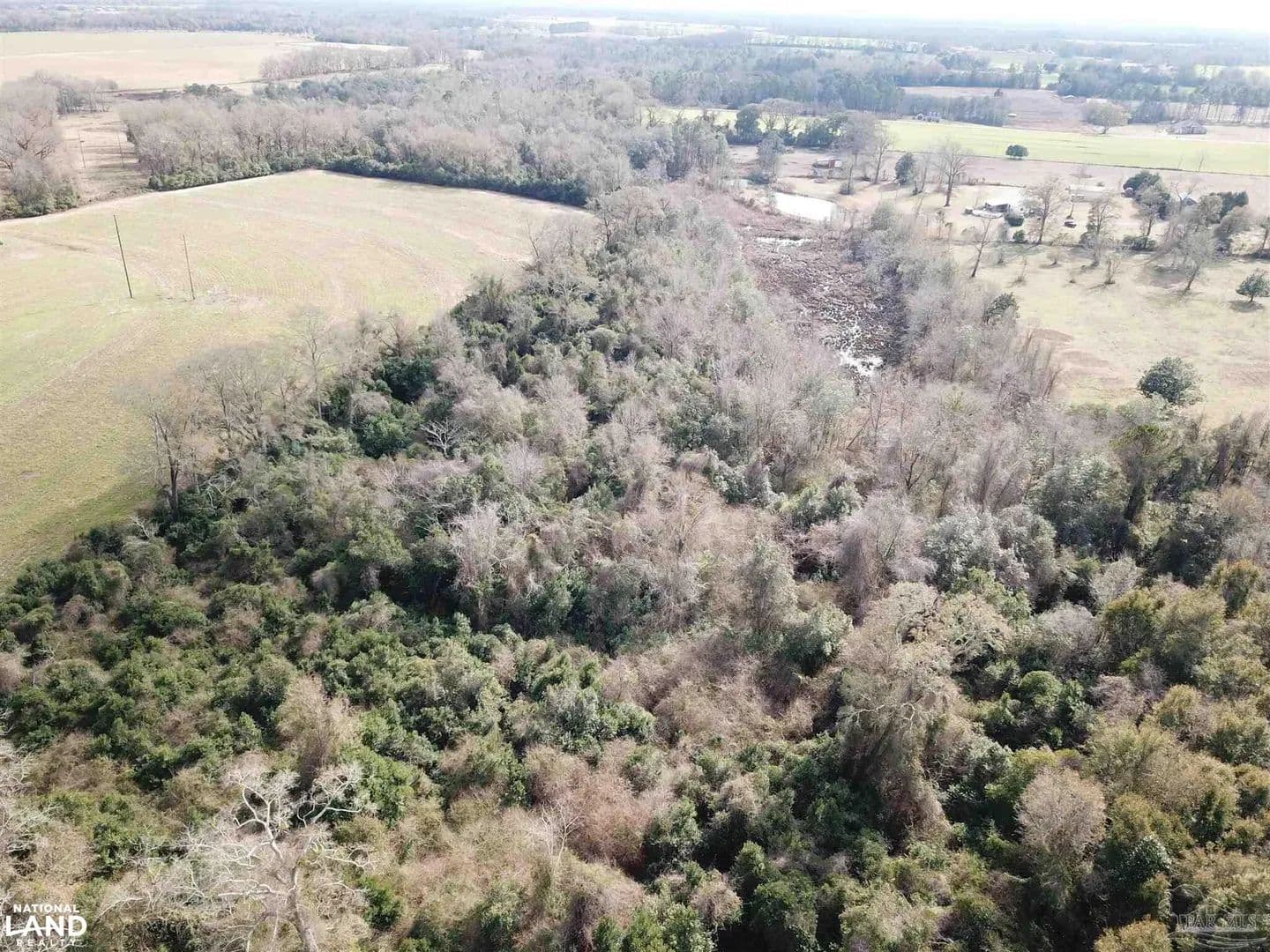 1.5+ Acre Wooded Homesite in Jay - Jay, Florida, 32565