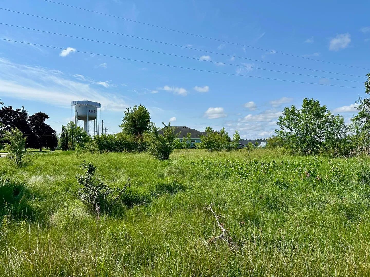 Vacant Land in Cheboygan - Cheboygan, Michigan, 49721