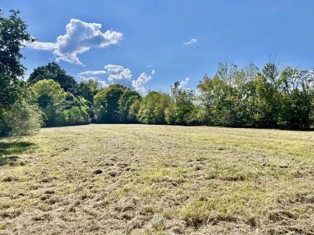 Land -Agricultural (Not Zoned) in Millbrook - Millbrook, Alabama, 36054