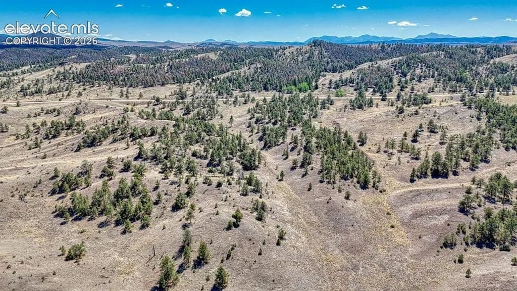 41.8 Acres of Land for Sale in Hartsel, CO - Hartsel, Colorado, 80449