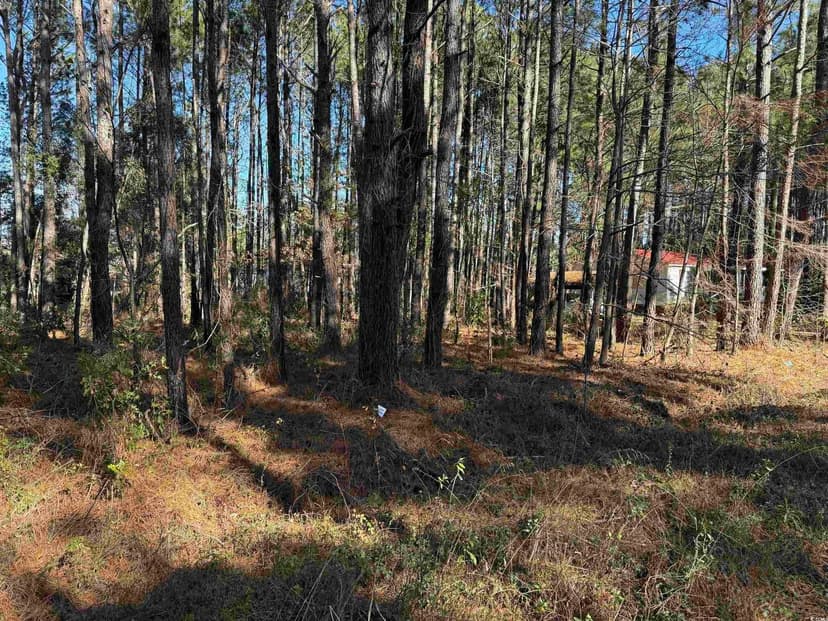 Vacant Land in Andrews