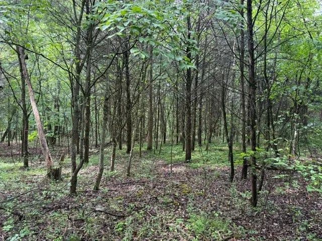 Property from 0 Teeters Rd - KW - Morrison, Tennessee, 37357