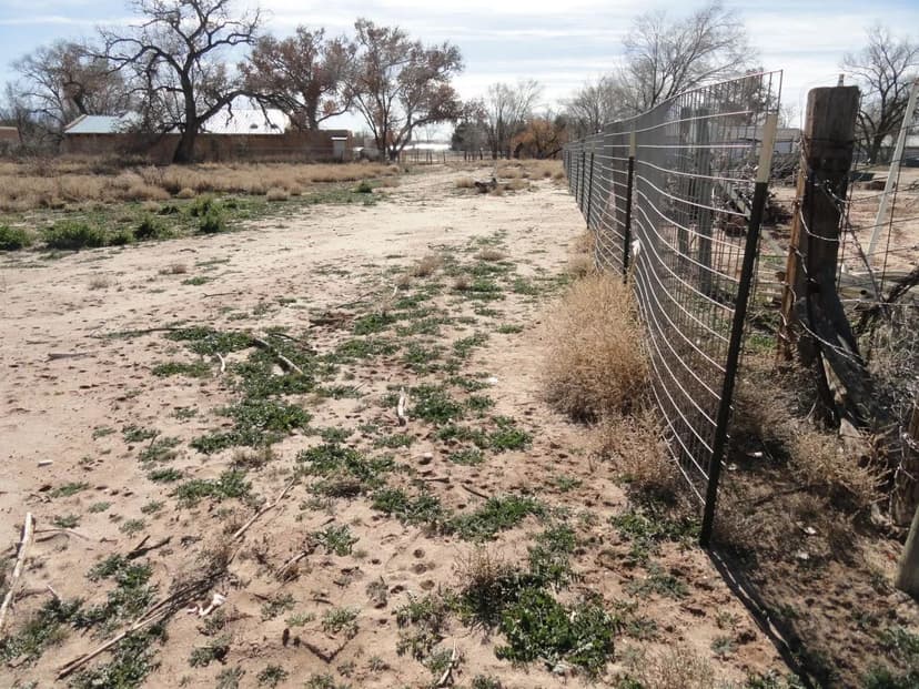 Land -Single Family Acreage in Peralta