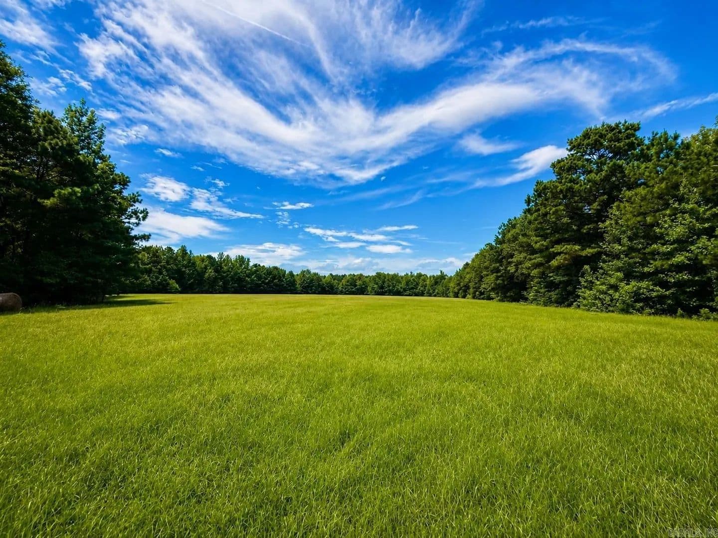 110 Acres of Land for Sale in Arkadelphia, AR - land for sale