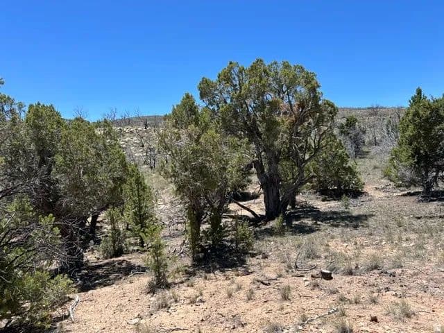 Property from Fruitland, UT 84027 - KW - land for sale