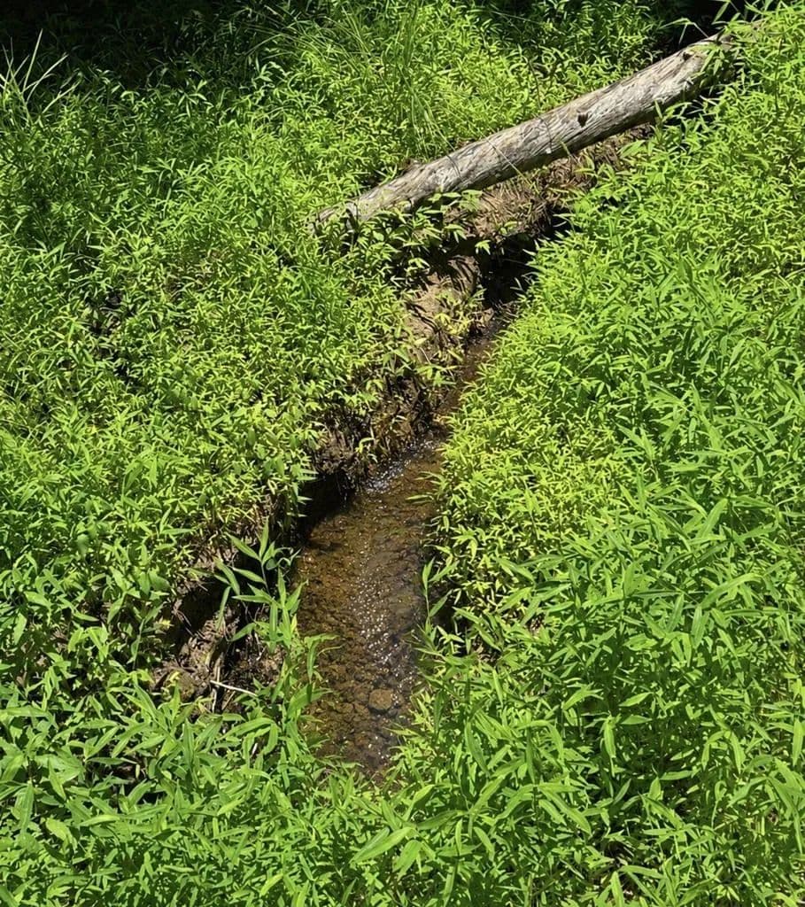 Property from Lot 3469 Fir Lane - KW - Ellijay, Georgia, 30540