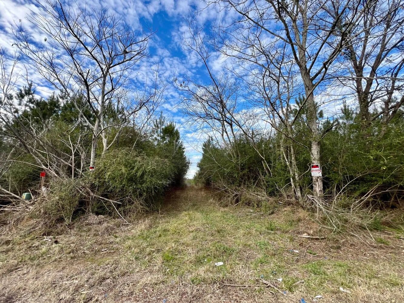 Pine Hill CR-67 Homesite, Hunting and Timber Investment Tract - Thomasville, Alabama, 36769