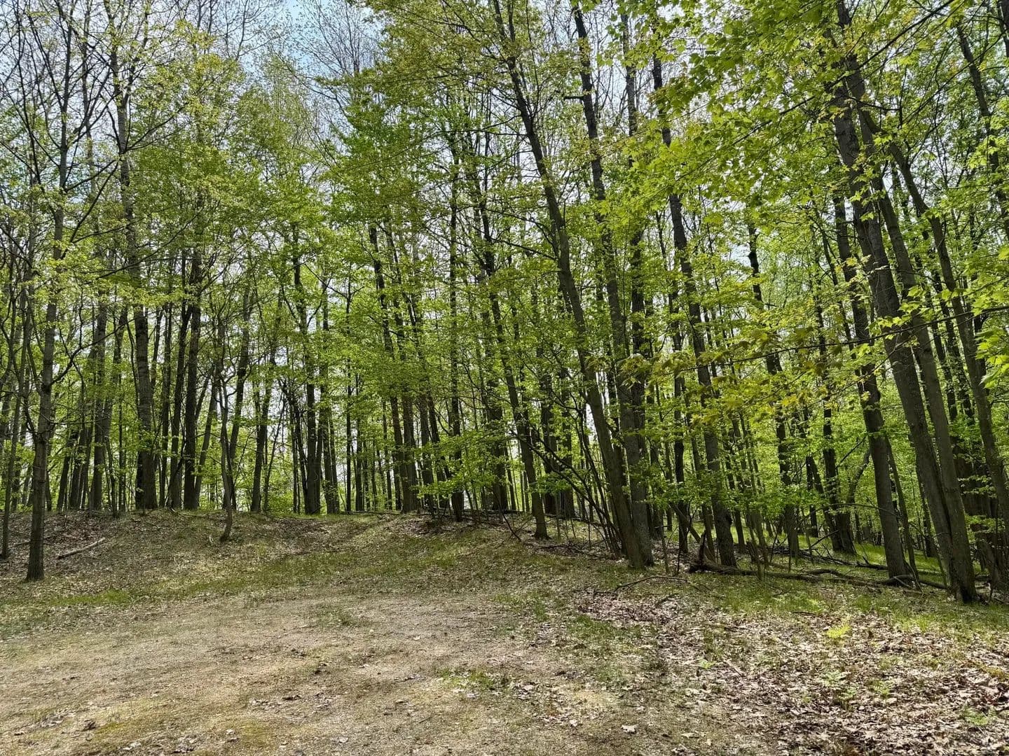 Lots & Land-Other in Canadian Lakes - Canadian Lakes, Michigan, 49346
