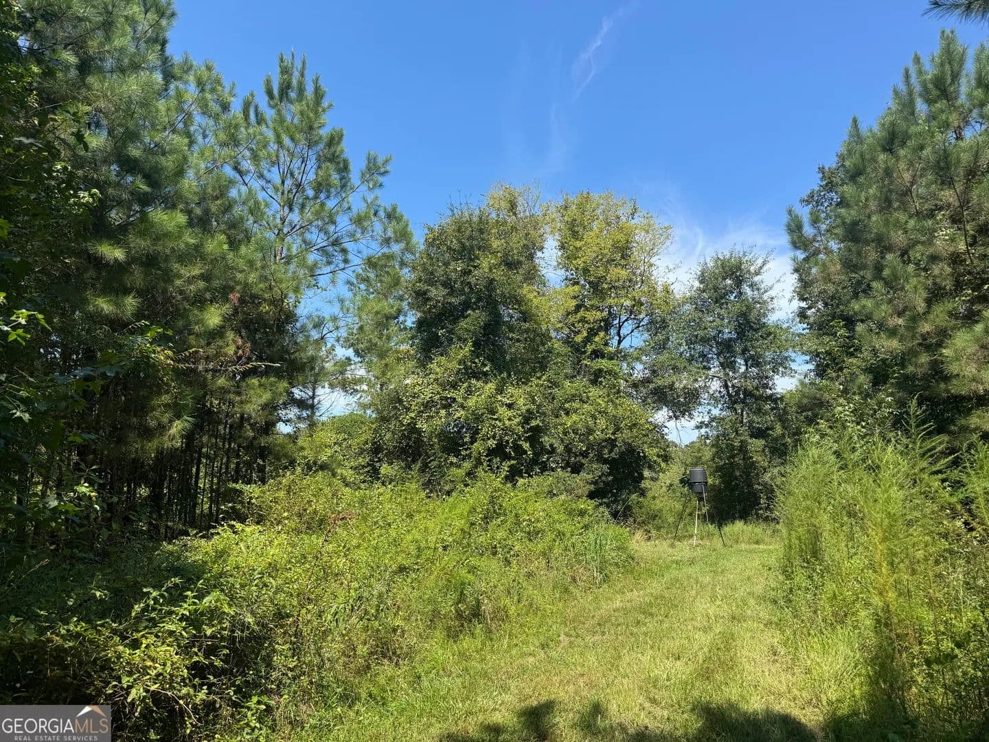 Property from 0014AC Cleghorn Dr - KW - Tallassee, Alabama, 36078