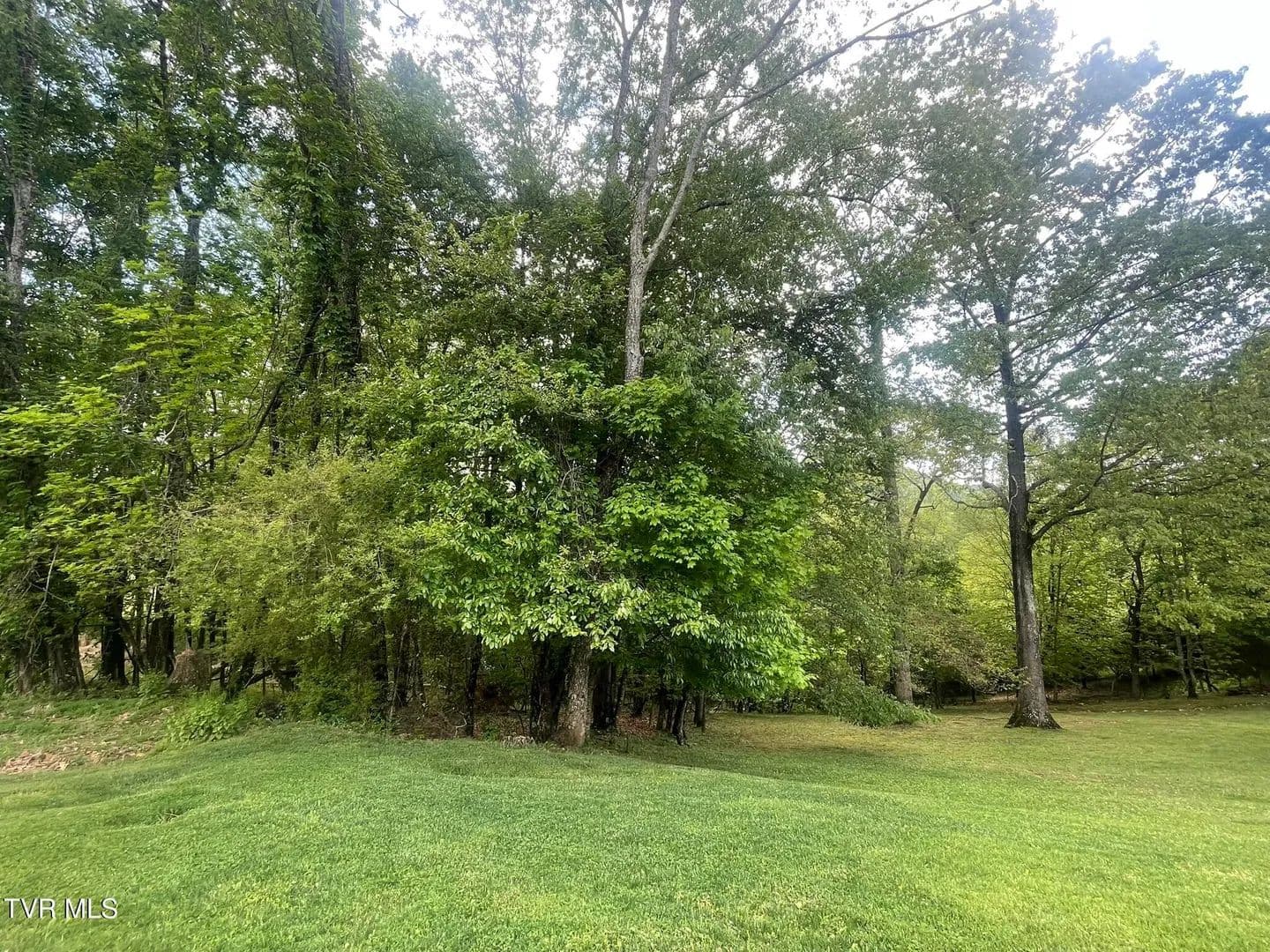 Vacant Land in Gate City - Gate City, Virginia, 24251